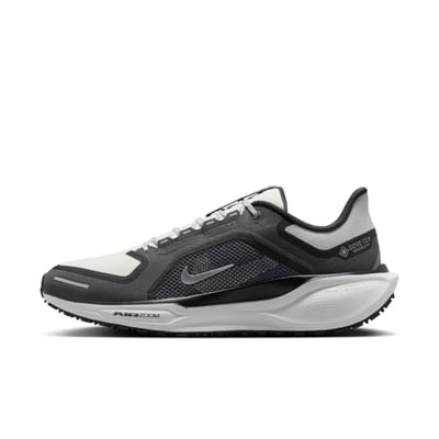 Nike Pegasus 41 GORE-TEX FQ1356-002