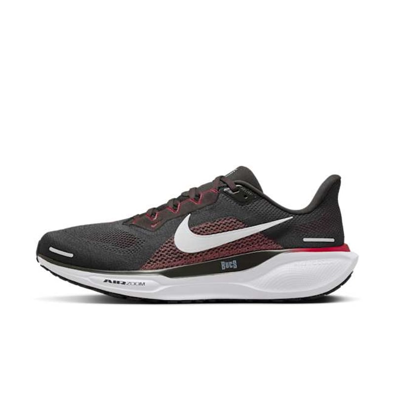 Nike Pegasus 41 x NFL FZ5076-200 01