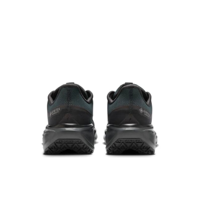 Nike Pegasus 41 GORE-TEX FQ1356-001 06