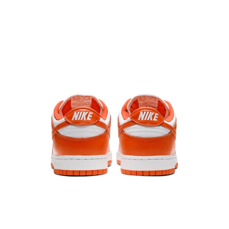 Nike Dunk Low Retro SP CU1726-101 06