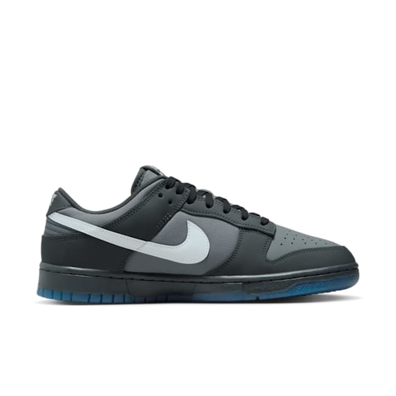 Nike Dunk Low FV0384-001 03