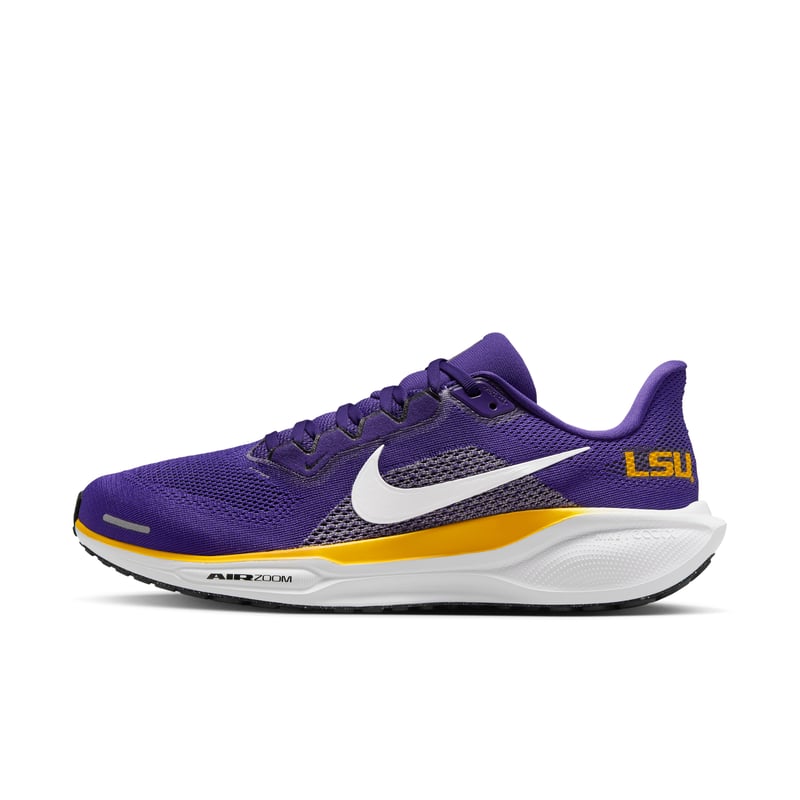 Nike Pegasus 41 IB3248-500 01
