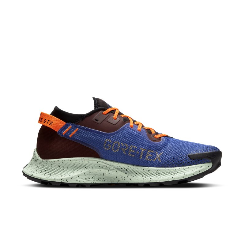 Nike Pegasus Trail 2 GORE-TEX CU2016-600 03