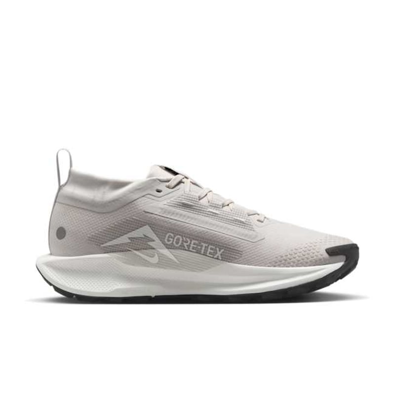 Nike Pegasus Trail 5 GORE-TEX FQ0912-008 03