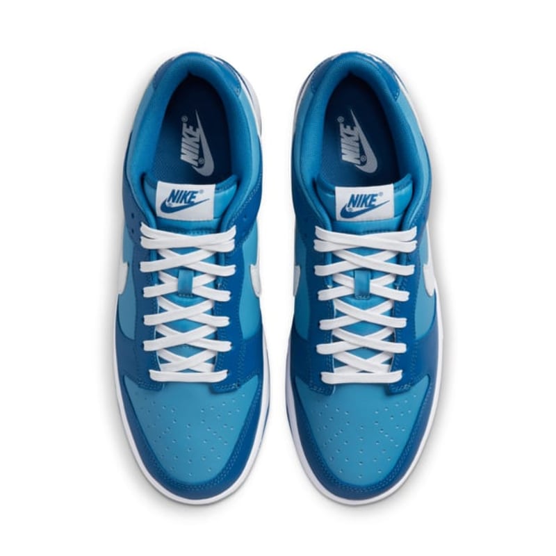 Nike Dunk Low DJ6188-400 04