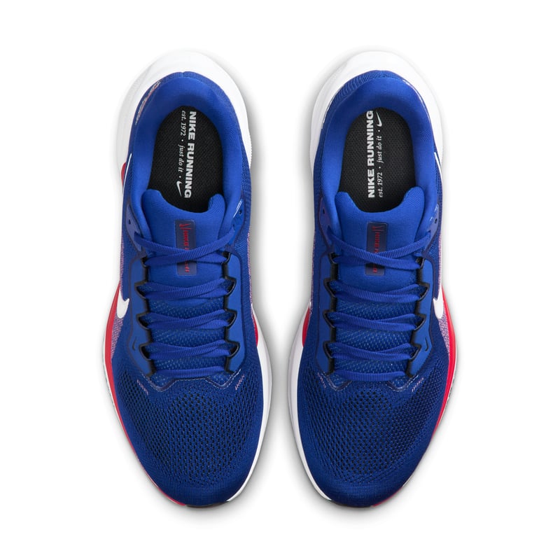 Nike Pegasus 41 x NFL IB3190-400 04