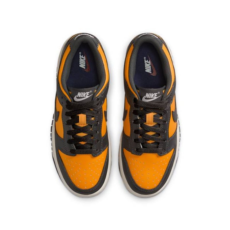 Nike Dunk Low FB9109-701 04