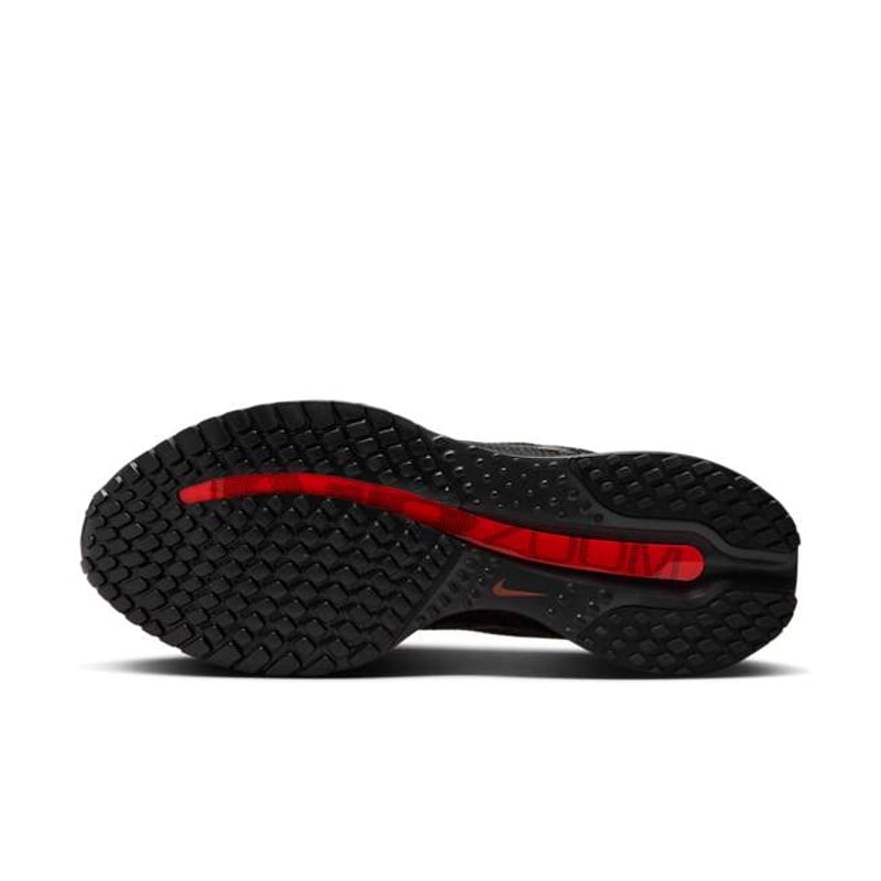 Nike Pegasus Premium HQ2593-003 02