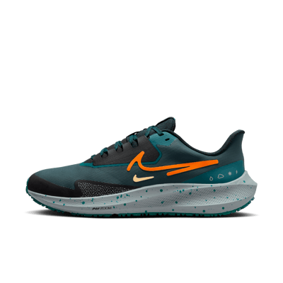 Nike Pegasus 39 Shield