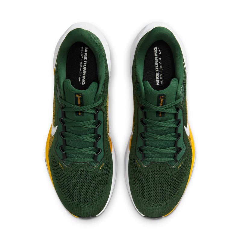 Nike Pegasus 41 x NFL IB3216-300 04