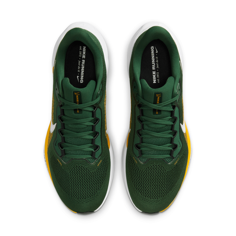 Nike Pegasus 41 x NFL IB3216-300 04
