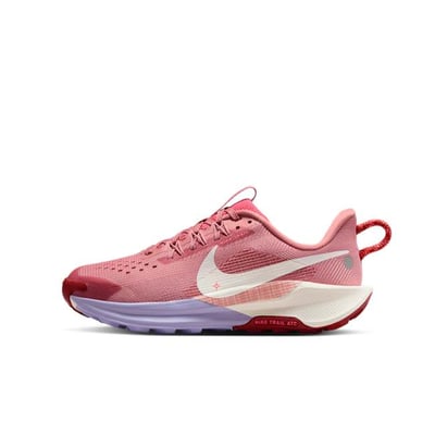 Nike Pegasus Trail 5 FV5638-600