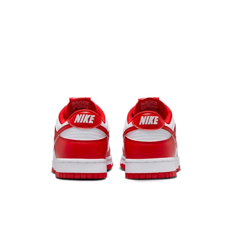 Nike Dunk Low HF5441-104 06