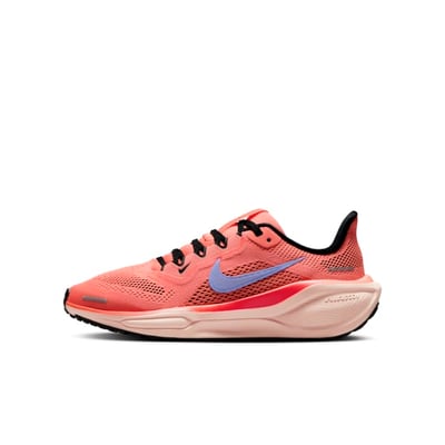 Nike Pegasus 41 FN5041-600