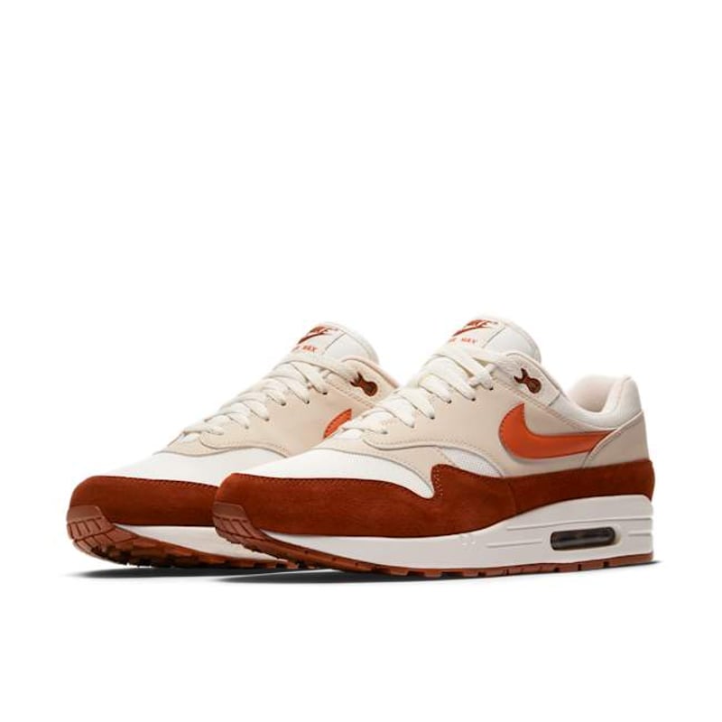 Nike Air Max 1 AH8145-104 05