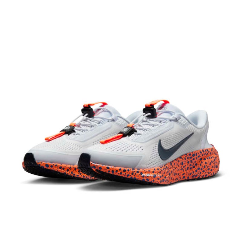 Nike Pegasus EasyOn FZ8753-900 05