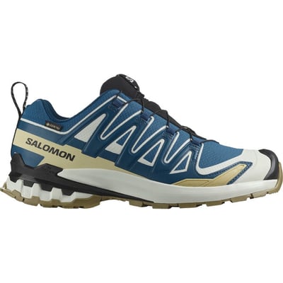 Salomon XA Pro 3D V9 GORE-TEX L47817400