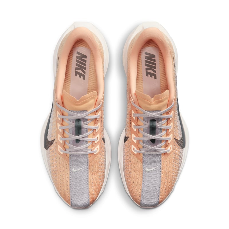 Nike Pegasus Plus FQ7261-702 04