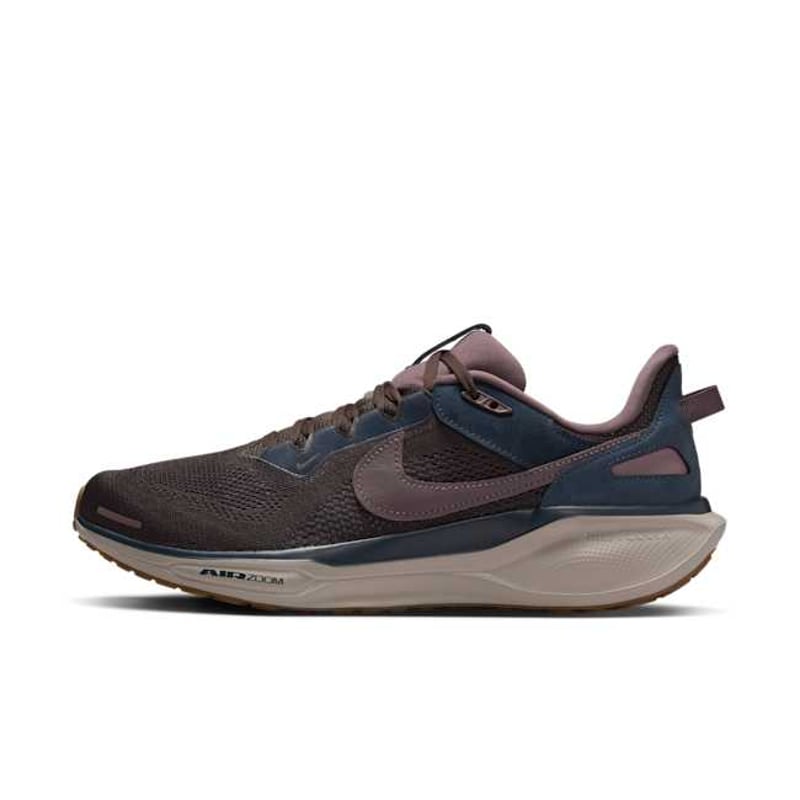 Nike Pegasus 41 SP HQ6025-200 01