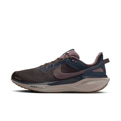 Nike Pegasus 41 SP HQ6025-200