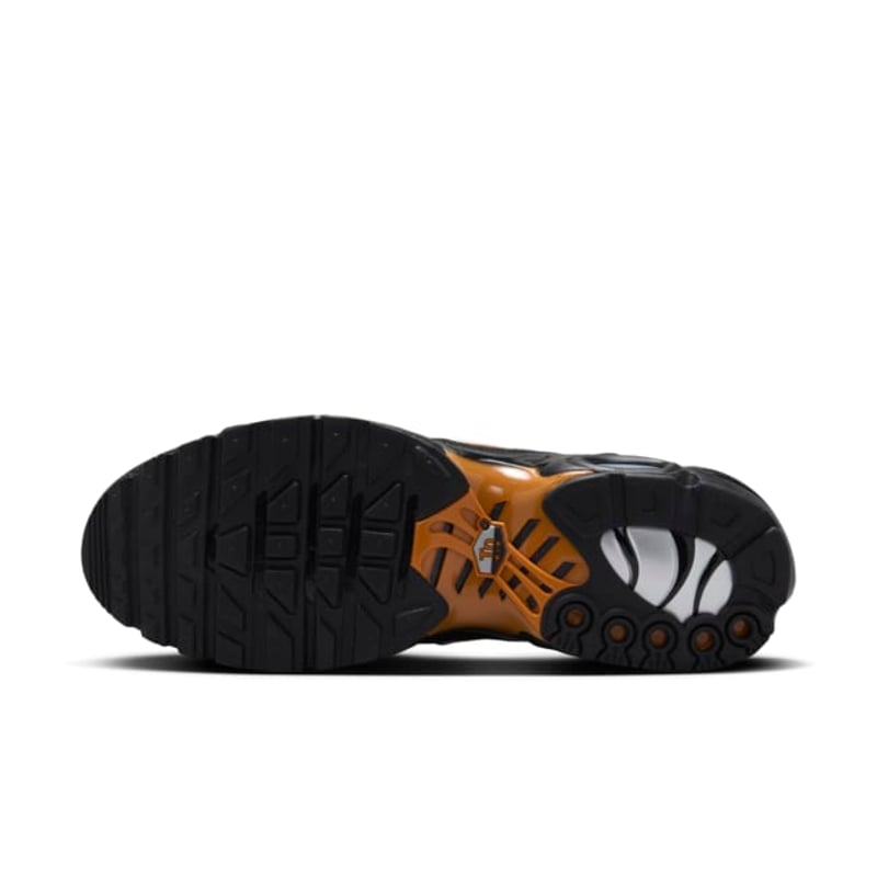 Nike Air Max Plus FN6949-400 02
