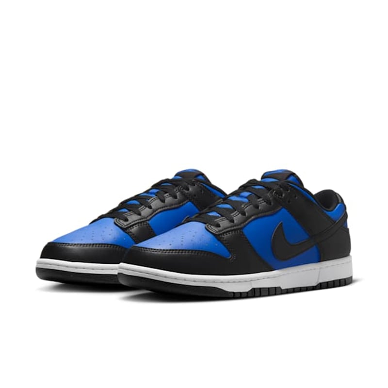 Nike Dunk Low HF5441-401 05