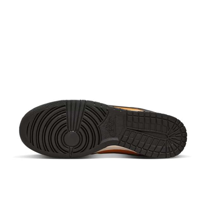 Nike Dunk Low Retro HF5441-701 02
