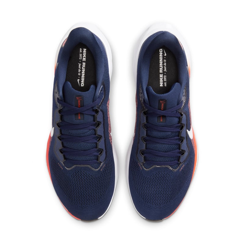 Nike Pegasus 41 IB3252-400 04