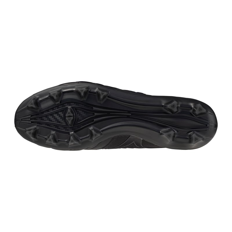 Morelia Neo IV Beta Japan LTD FG P1GA255400 02