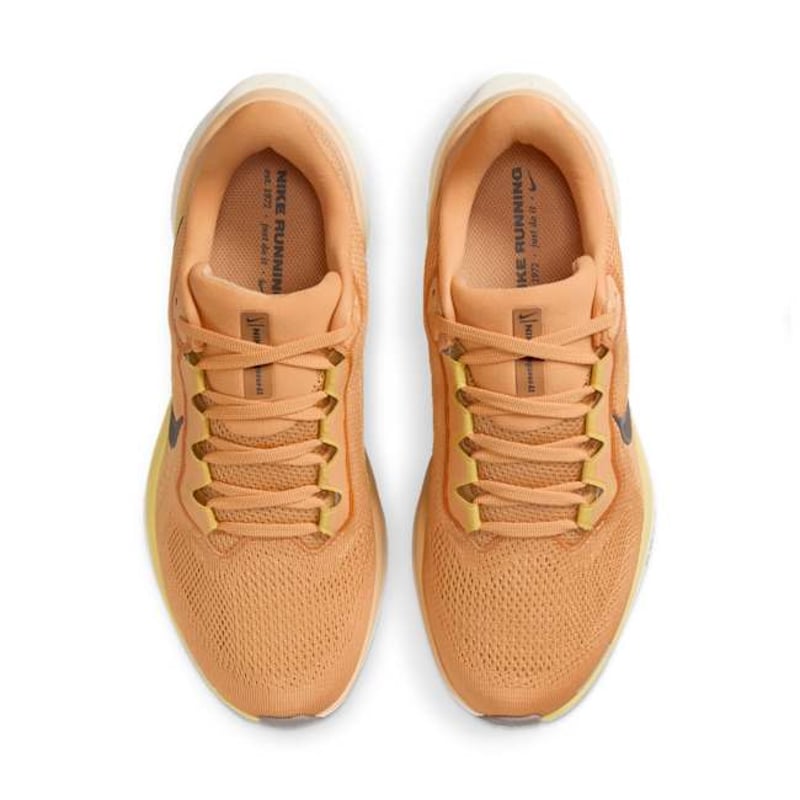 Nike Pegasus 41 FD2723-800 04