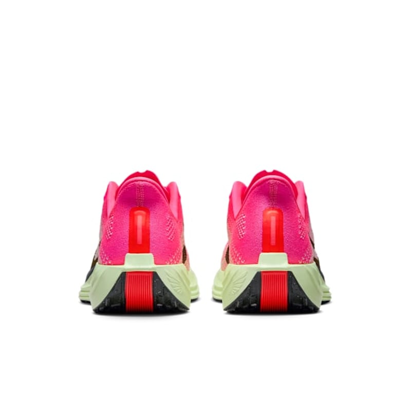 Nike Pegasus Plus HV3022-600 06