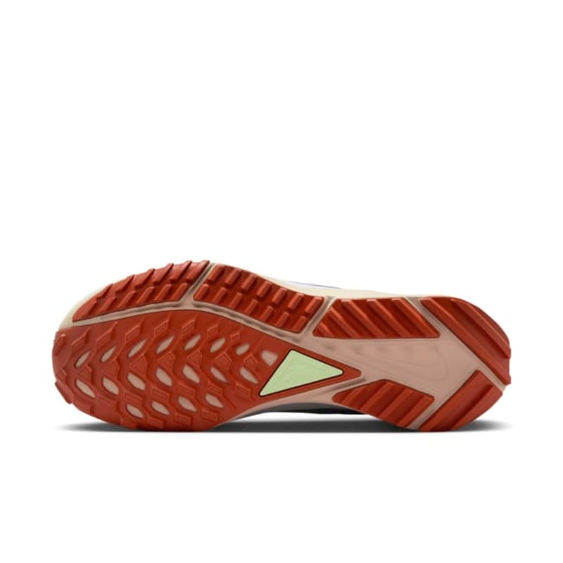 Nike Pegasus Trail 4 GORE-TEX DJ7929-502 02