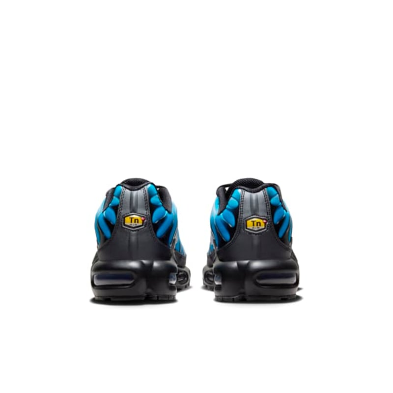 Nike Air Max Plus FQ0204-010 06