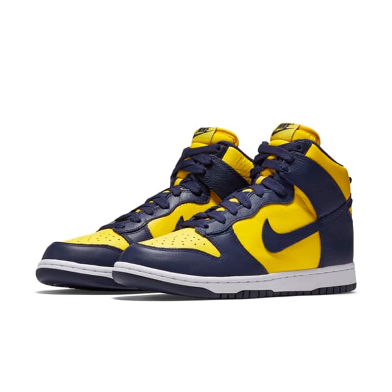 Nike Dunk High QS 850477-700 05