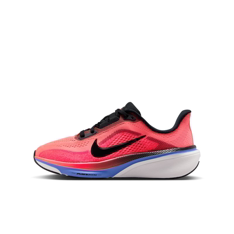 Nike Pegasus 42 IH2306-614 01