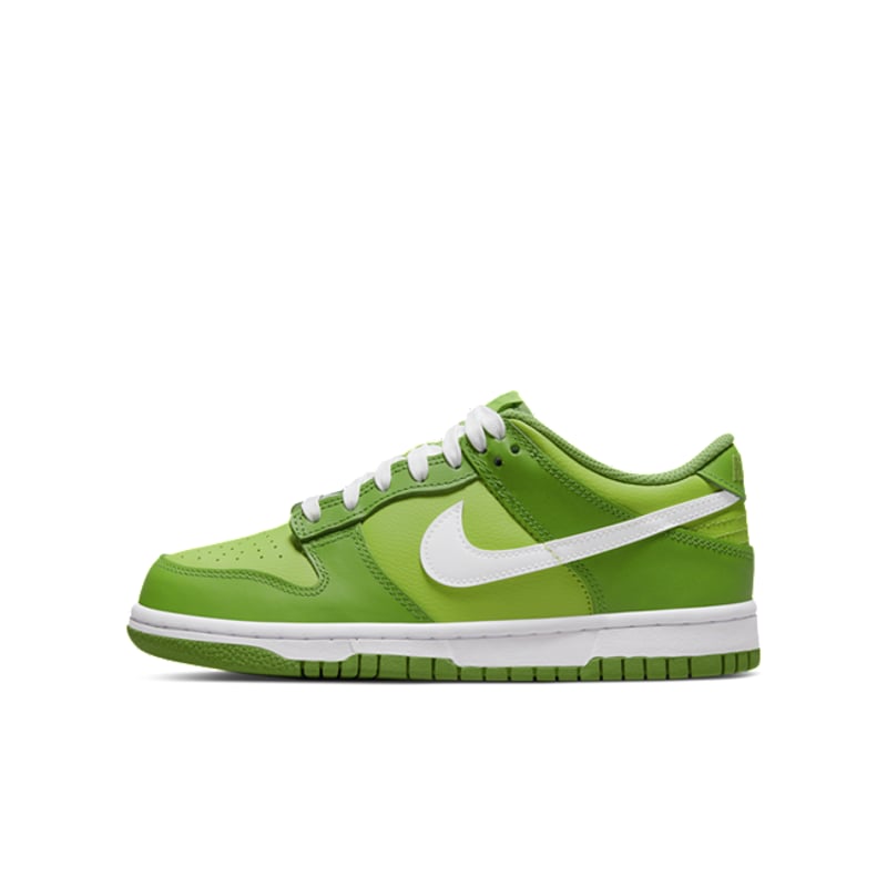 Nike Dunk Low DH9765-301 01