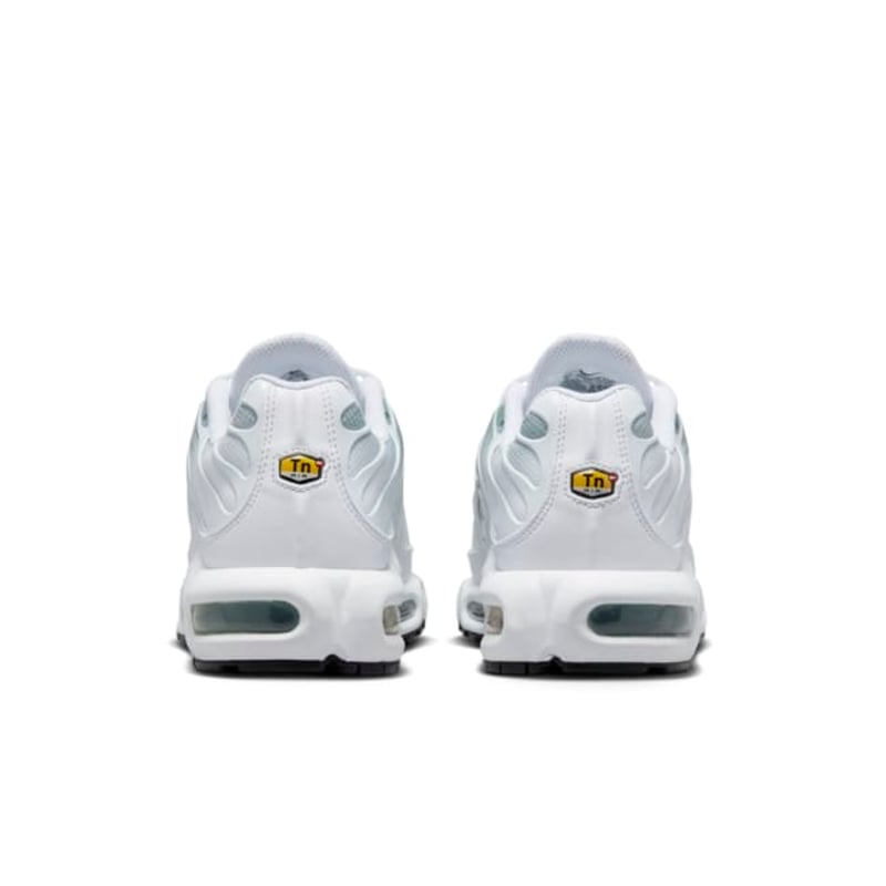 Nike Air Max Plus DZ3670-100 06
