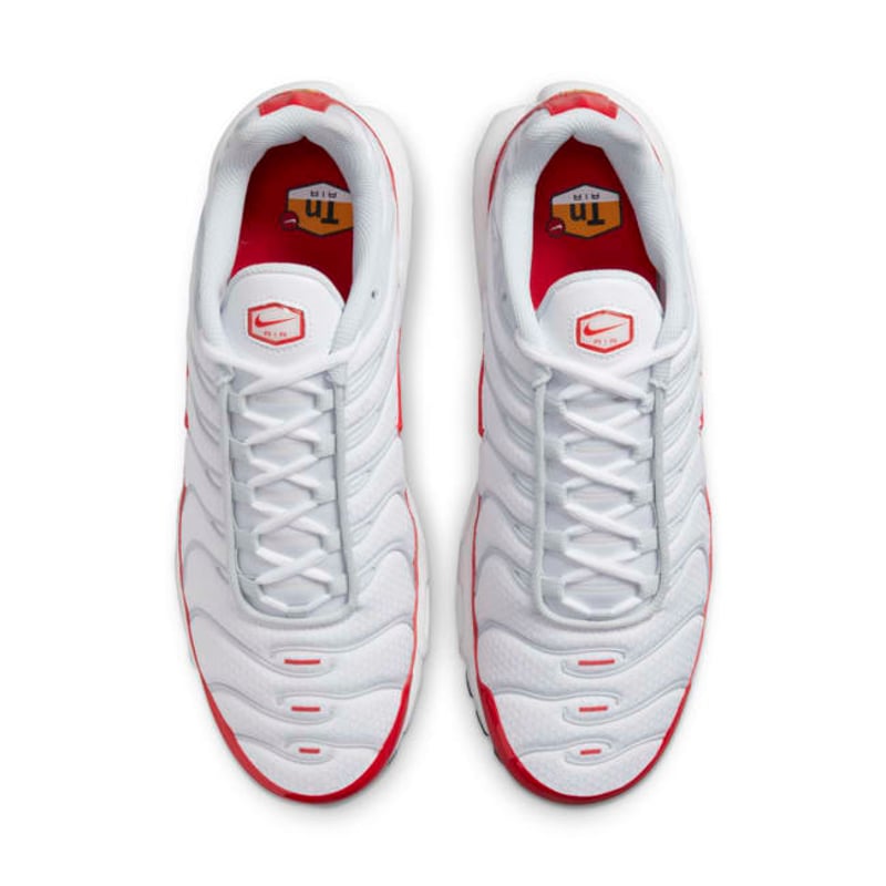 Nike Air Max Plus ‘Air Max 1’ DM8332-100 04