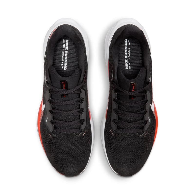 Nike Pegasus 41 x NFL IB3189-001 04