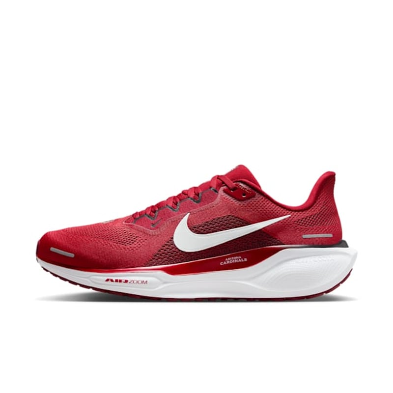 Nike Pegasus 41 x NFL FZ5077-600 01