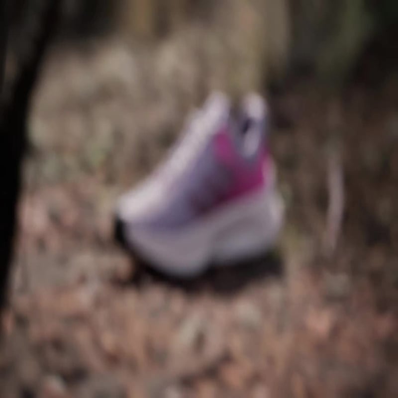 adidas Terrex Soulstride Flow IH3446 02