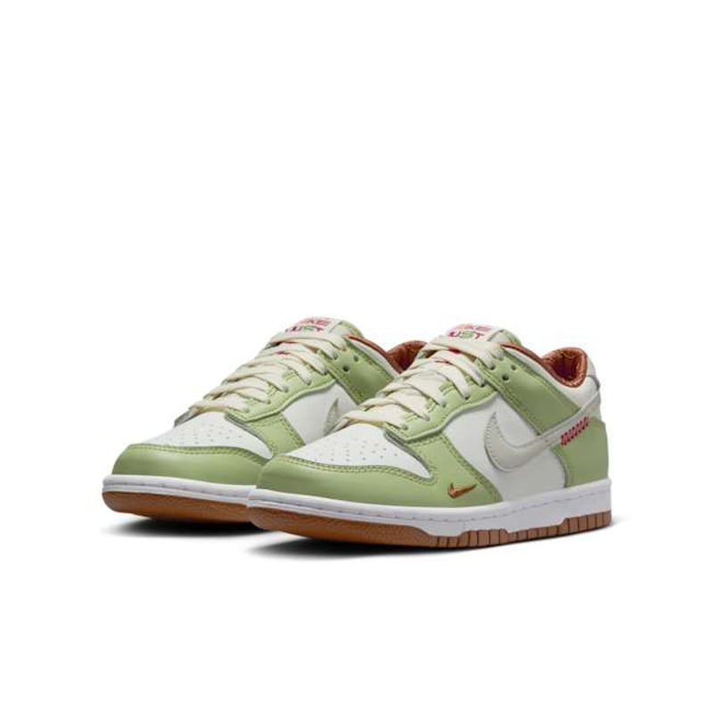 Nike Dunk Low HV6001-101 05