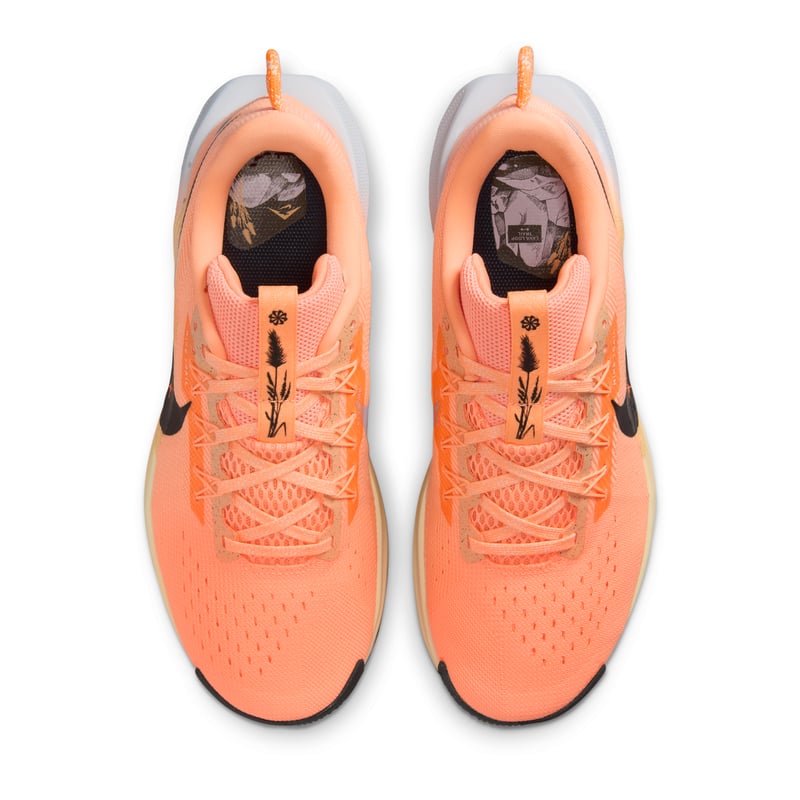 Nike Pegasus Trail 5 DV3865-800 04