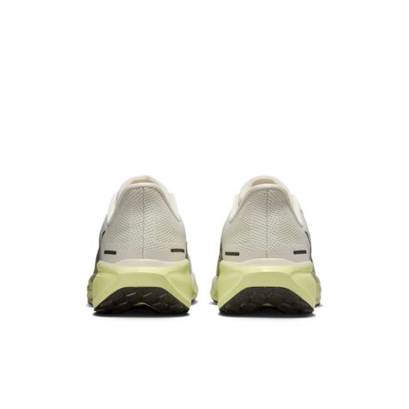 Nike Pegasus 41 FD2722-109 06