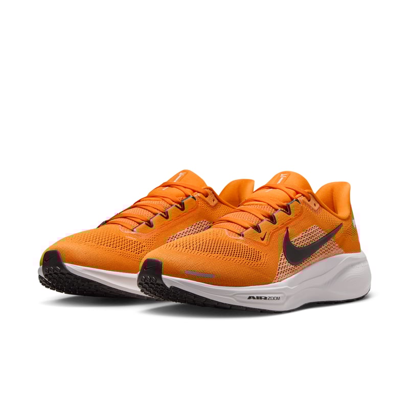 Nike Pegasus 41 IB3253-800 05