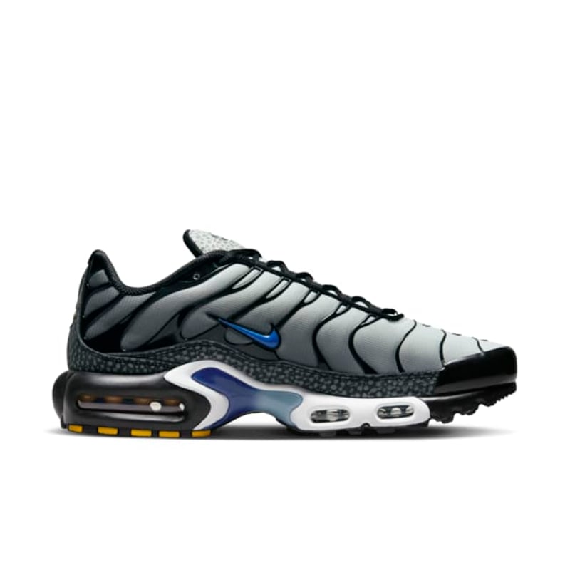 Nike Air Max Plus FD9755-001 03
