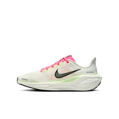 Nike Pegasus 41 FN5041-107