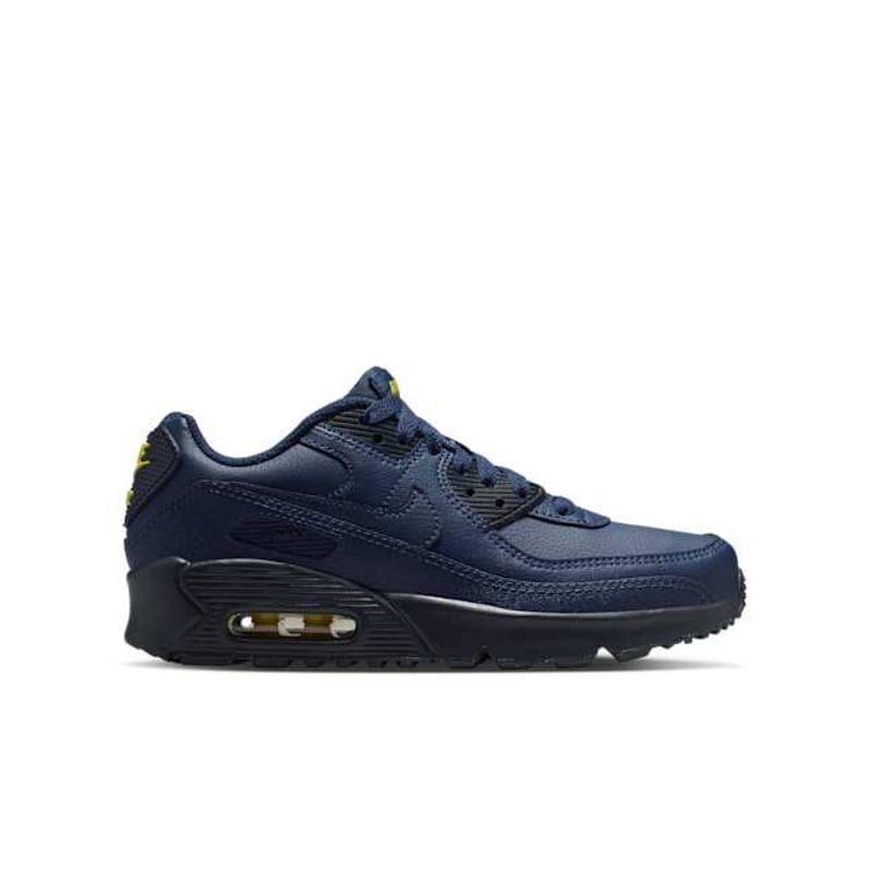Nike Air Max 90 LTR CD6864-405 03