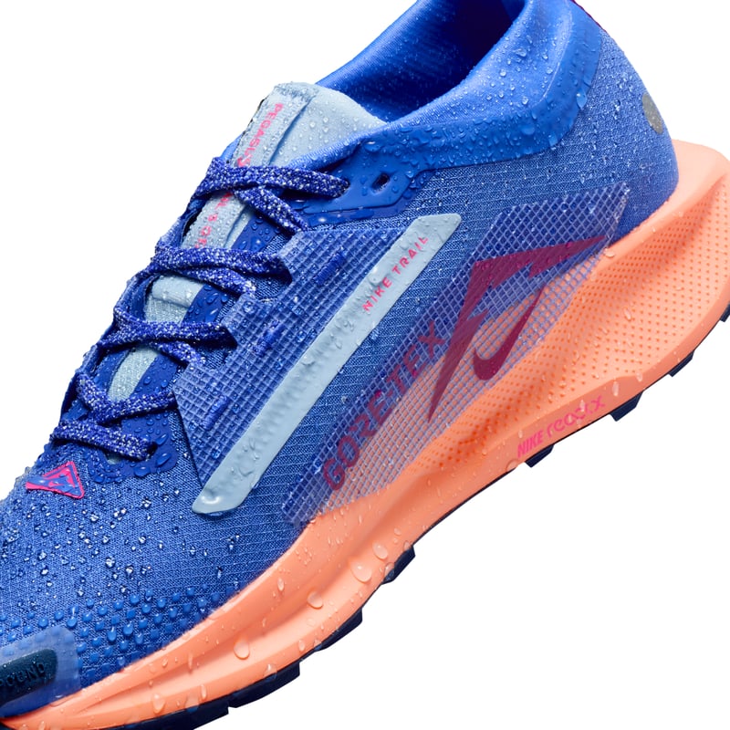 Nike Pegasus Trail 5 GORE-TEX FQ0912-503 09