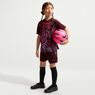 Nike United Academy Dri-FIT IO5790-652